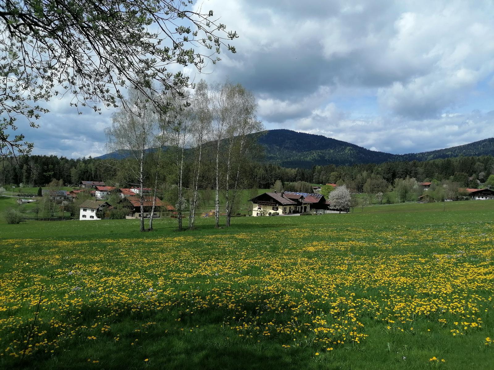 Ferienwohnung Josef Müller in Arnbruck