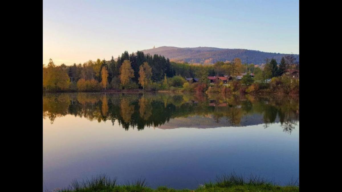Feriendorf am Hohen Bogen - Haus 66 in Arrach