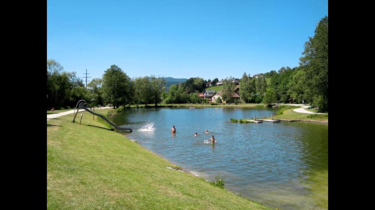 Feriendorf am Hohen Bogen - Haus 66 in Arrach