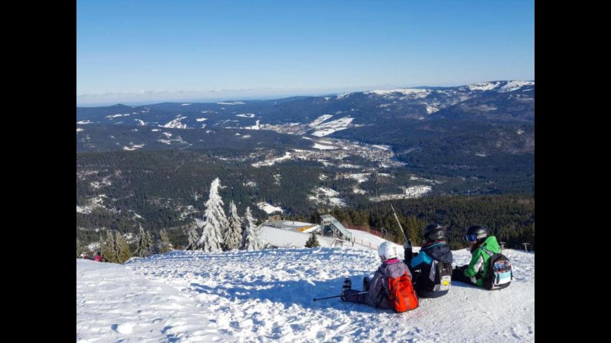 Feriendorf am Hohen Bogen - Haus 66 in Arrach