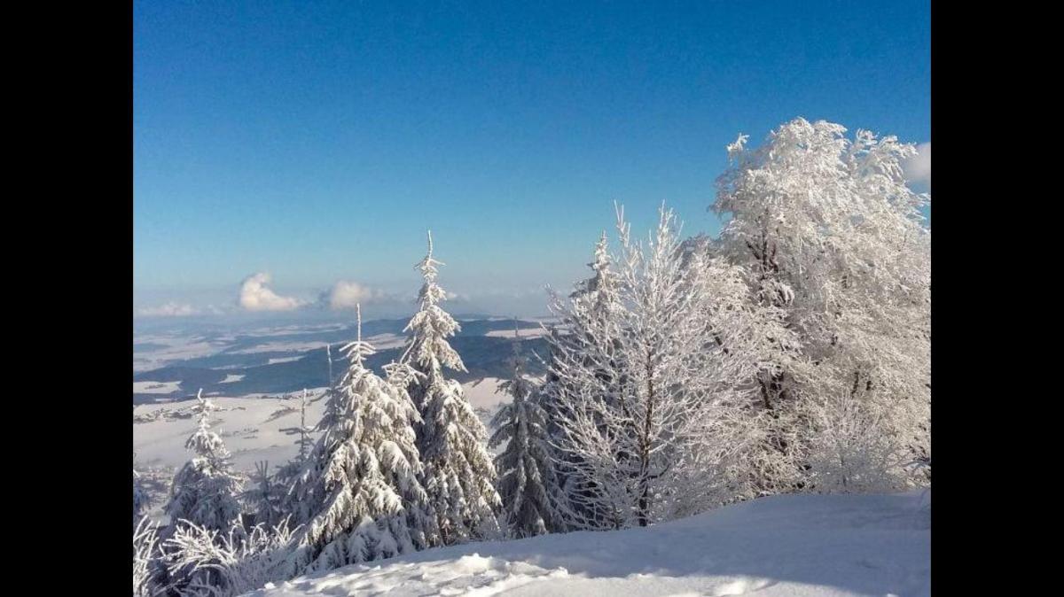 Feriendorf am Hohen Bogen - Haus 66 in Arrach