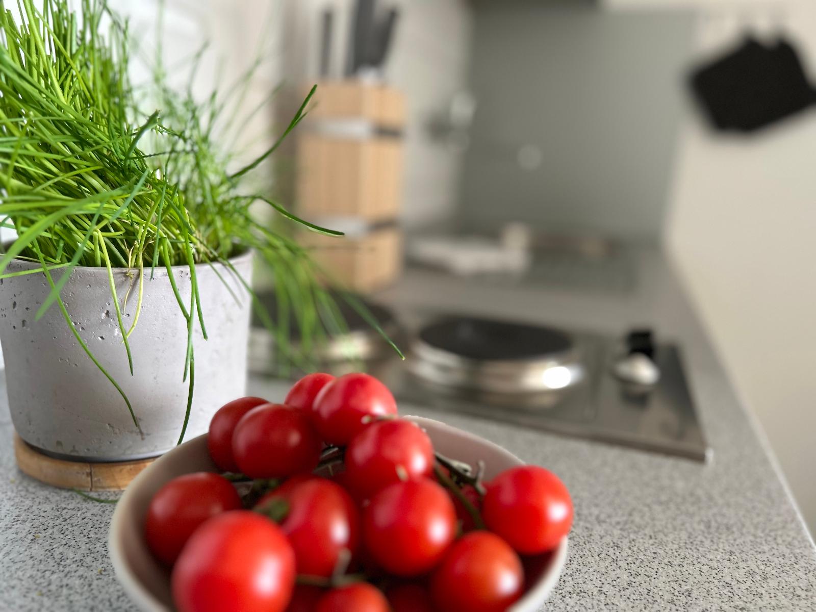 Ferienwohnungen Traumblick im Ferienpark Geyersberg in Freyung
