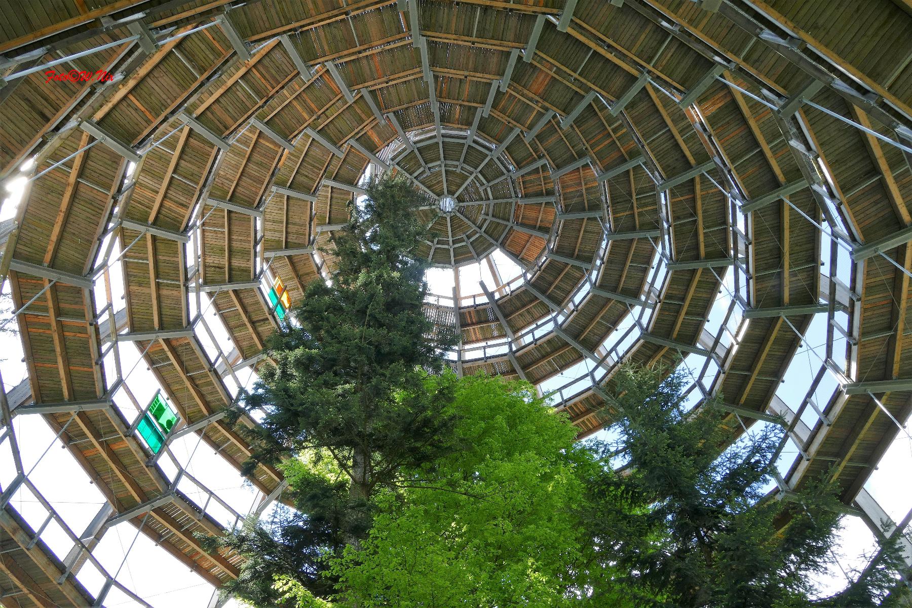 Ferienwohnungen Bayerischer Wald mit Pool in Freyung