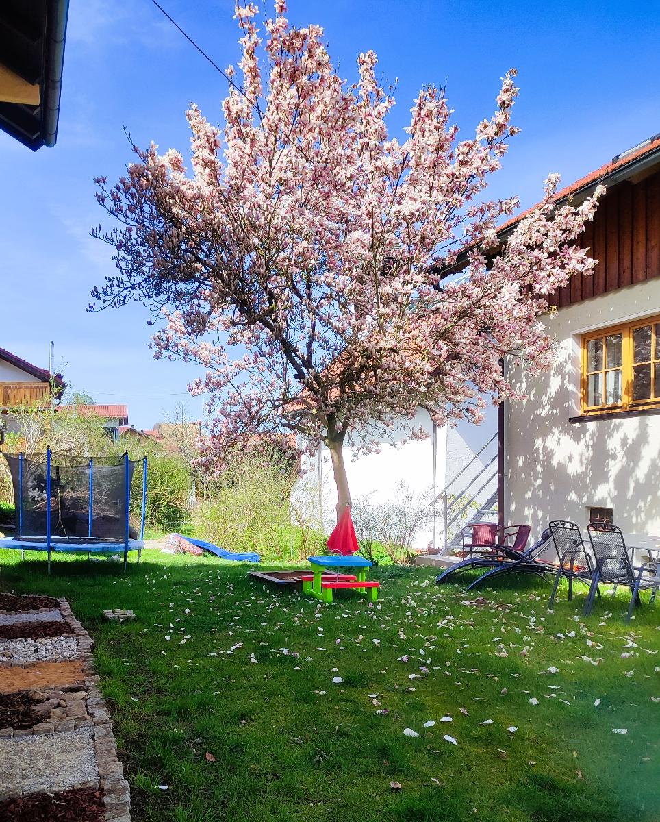 Ferienwohnung zur alten Schmiede in Arrach