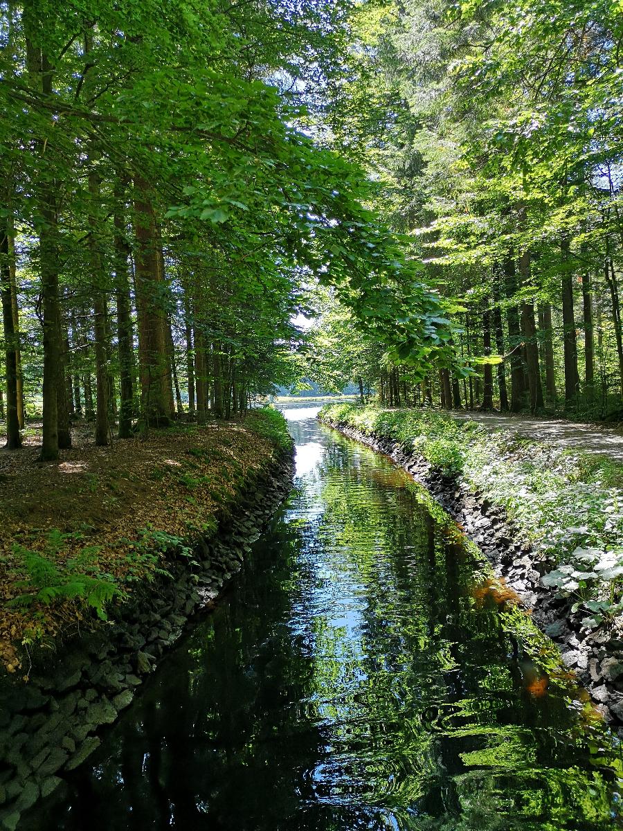 Gasthaus Zum Stausee in Grafenau