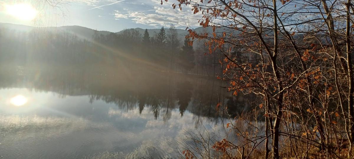Ferienwohnungen Rihm in Arrach