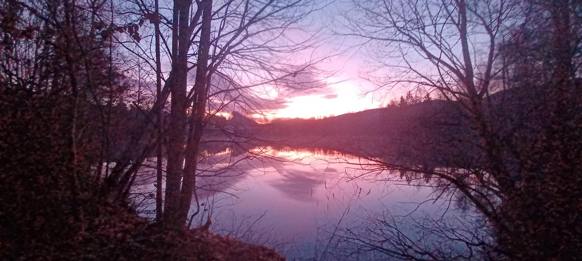 Ferienwohnungen Rihm in Arrach