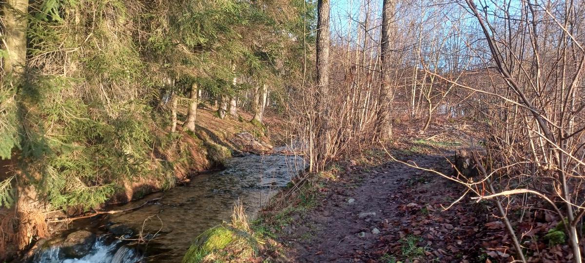 Ferienwohnungen Rihm in Arrach