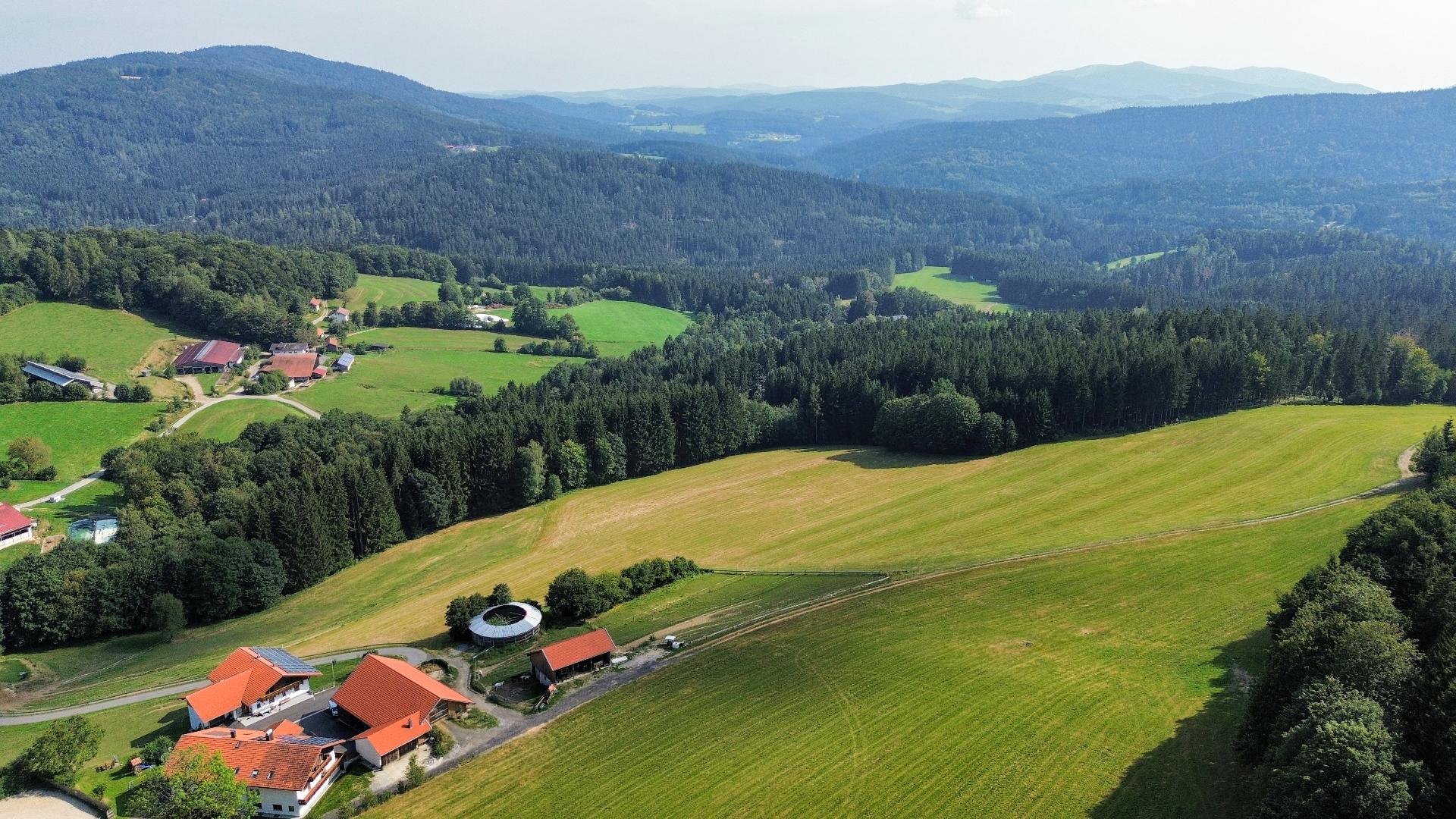 Grundhof in Drachselsried