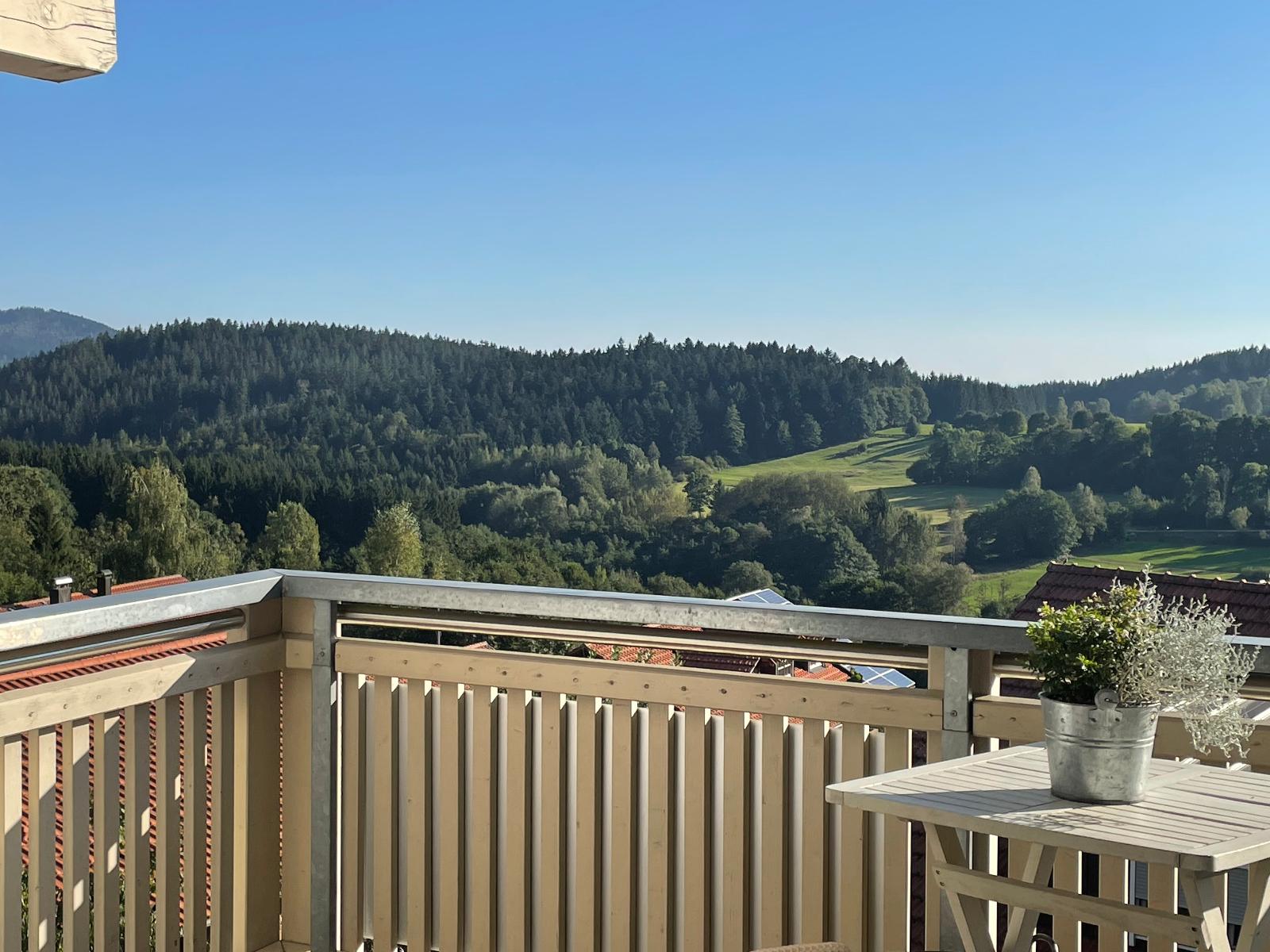 Haus Paradies Superior FEWO`S Loft/Terrasse, private Sauna in Sankt Englmar
