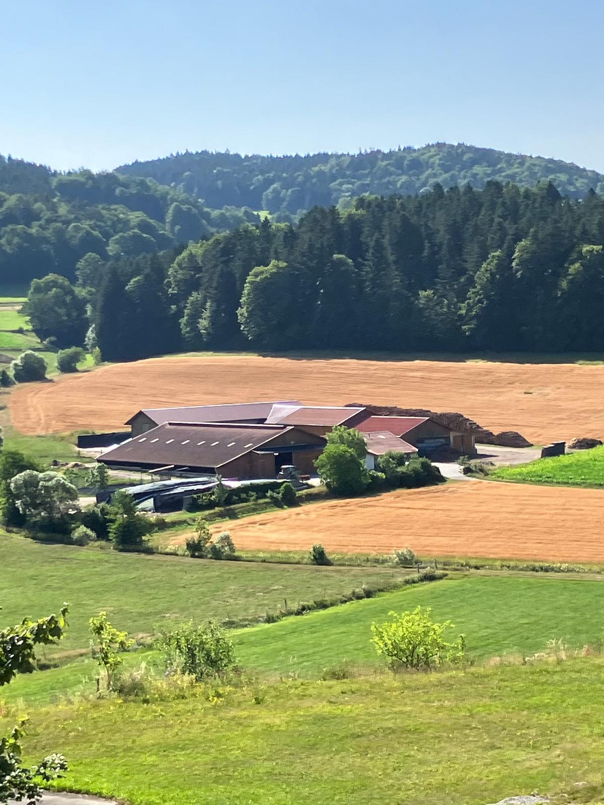 Mattheishof in Grafenau
