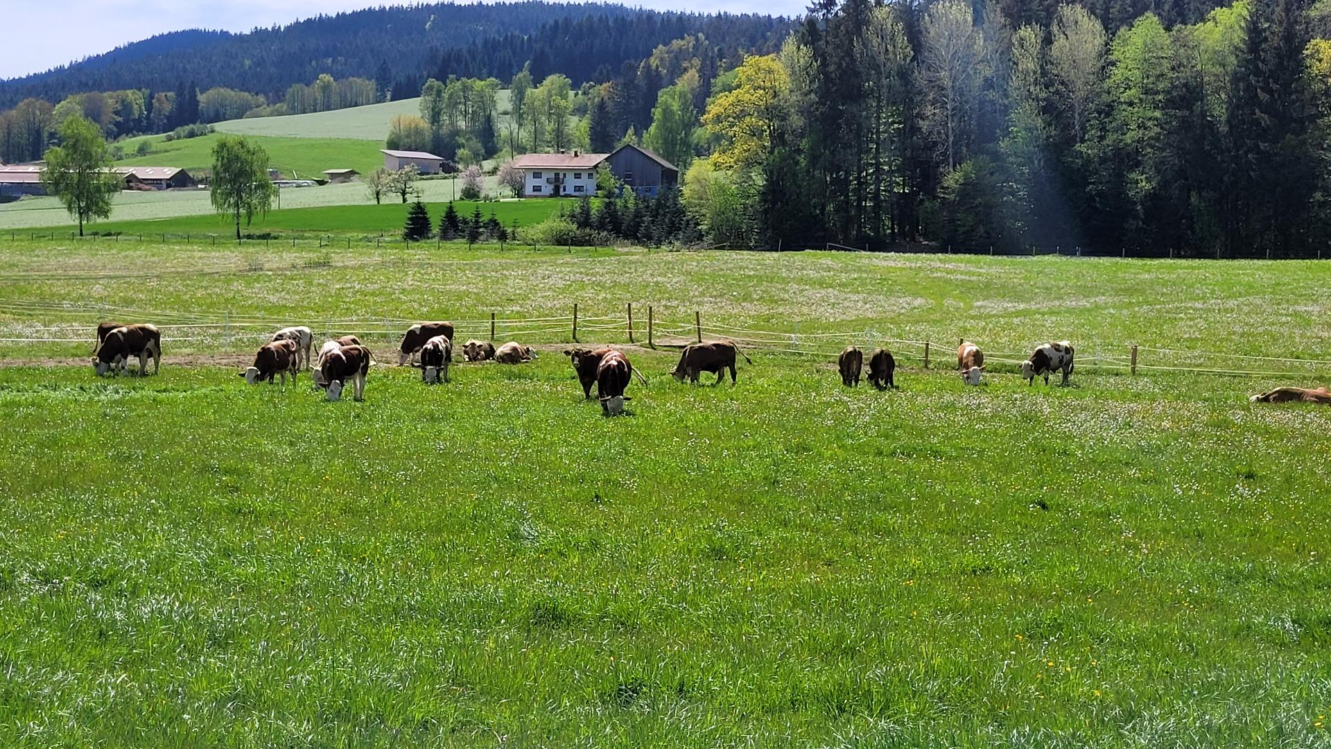 Burgstallhof in Bad Kötzting