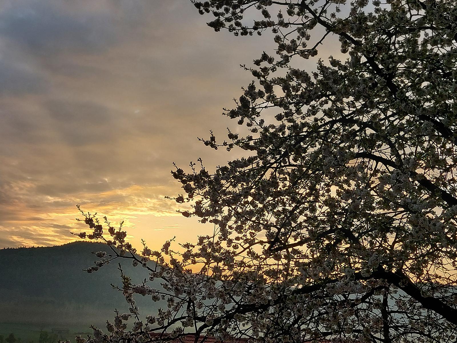 Ferienwohnung Huglbauer in Waldmünchen
