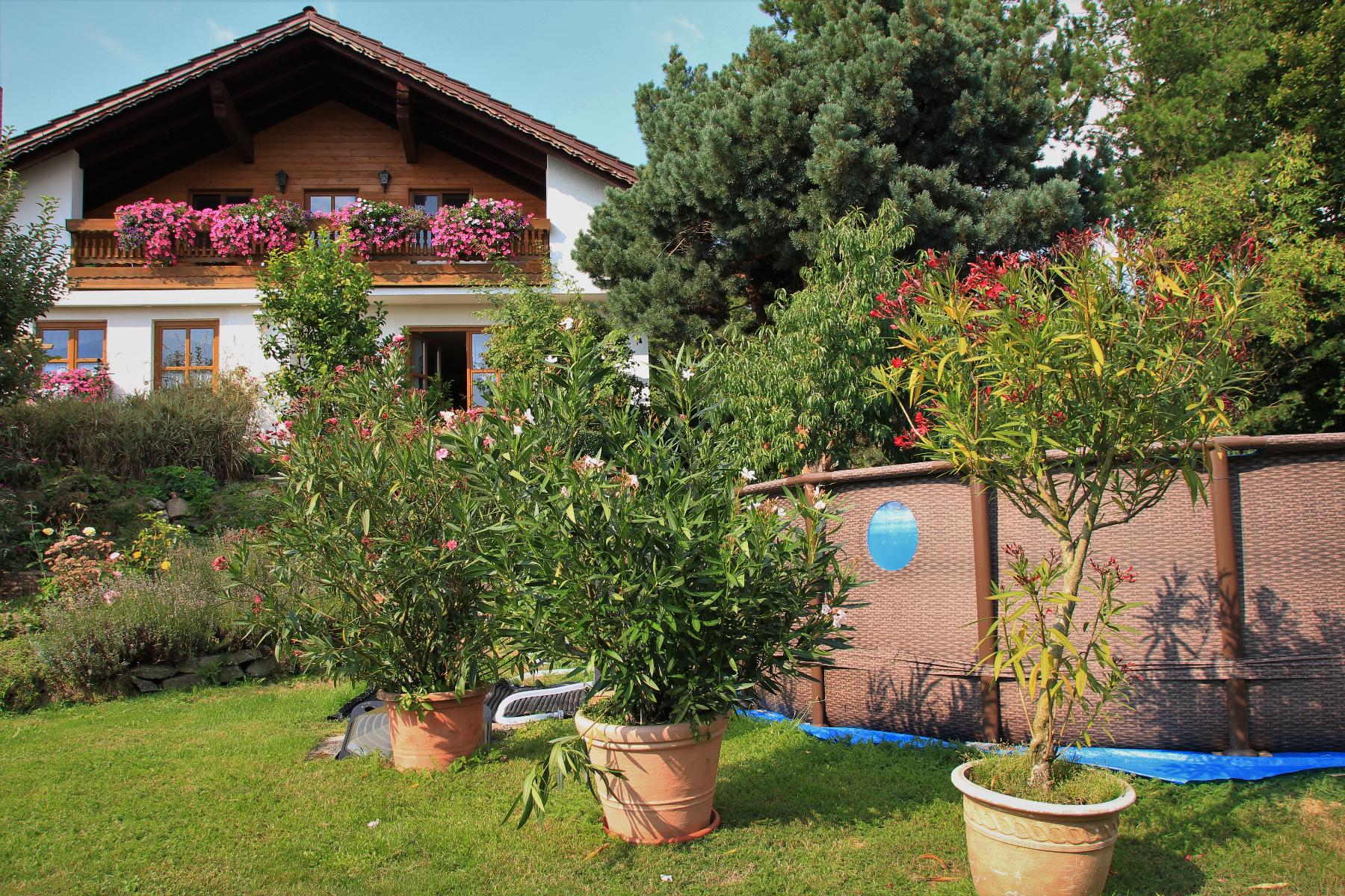 Apartment-Ferienwohnung Penzkofer in Zandt