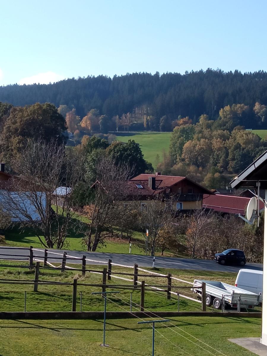 Fischer Willi in Bad Kötzting