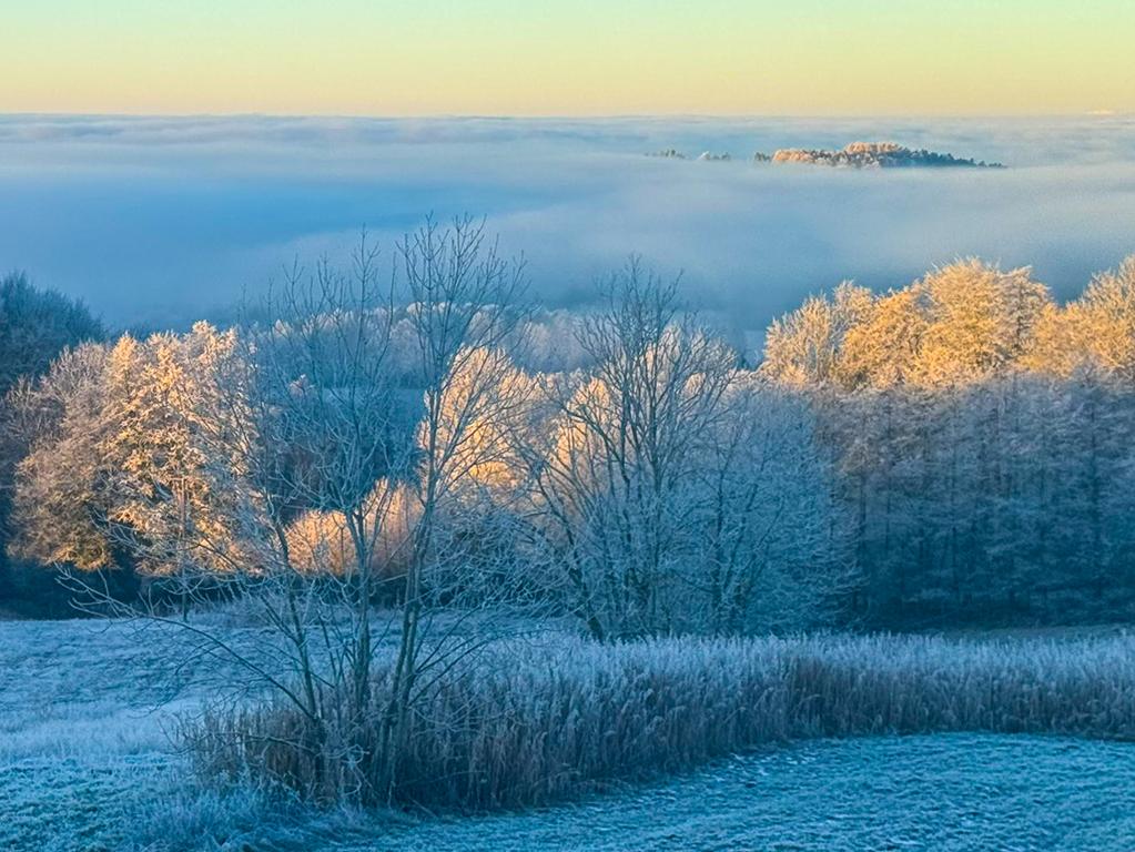 Ferienwohnungen Bauer – Auszeit mit Ausblick in Zenting