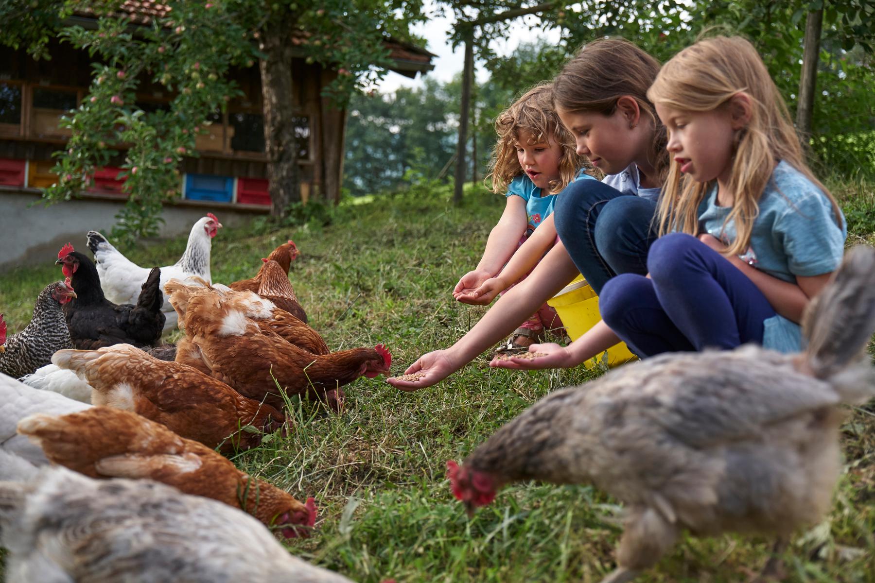 Schoffahanslhof in Arnbruck