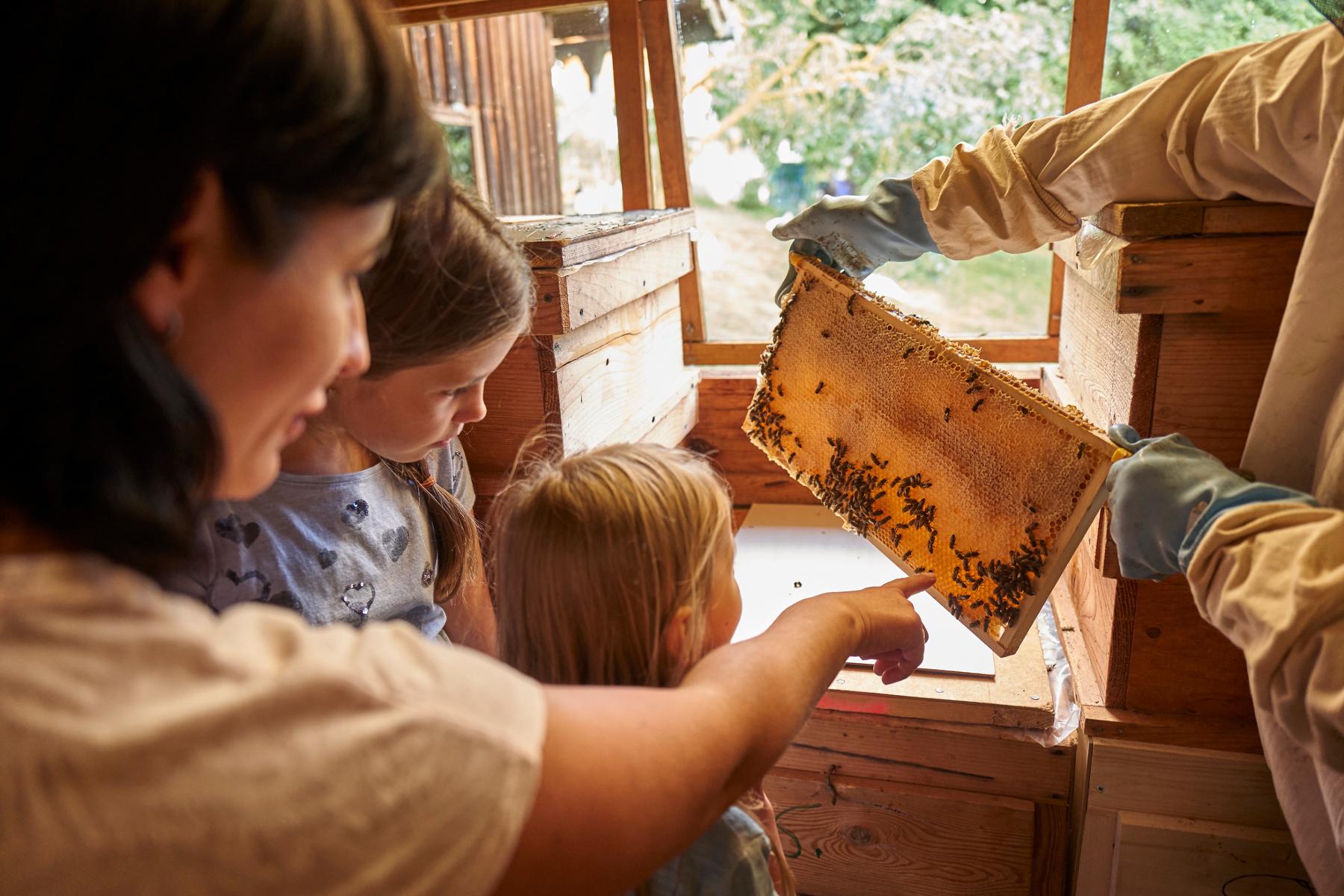 Schoffahanslhof in Arnbruck