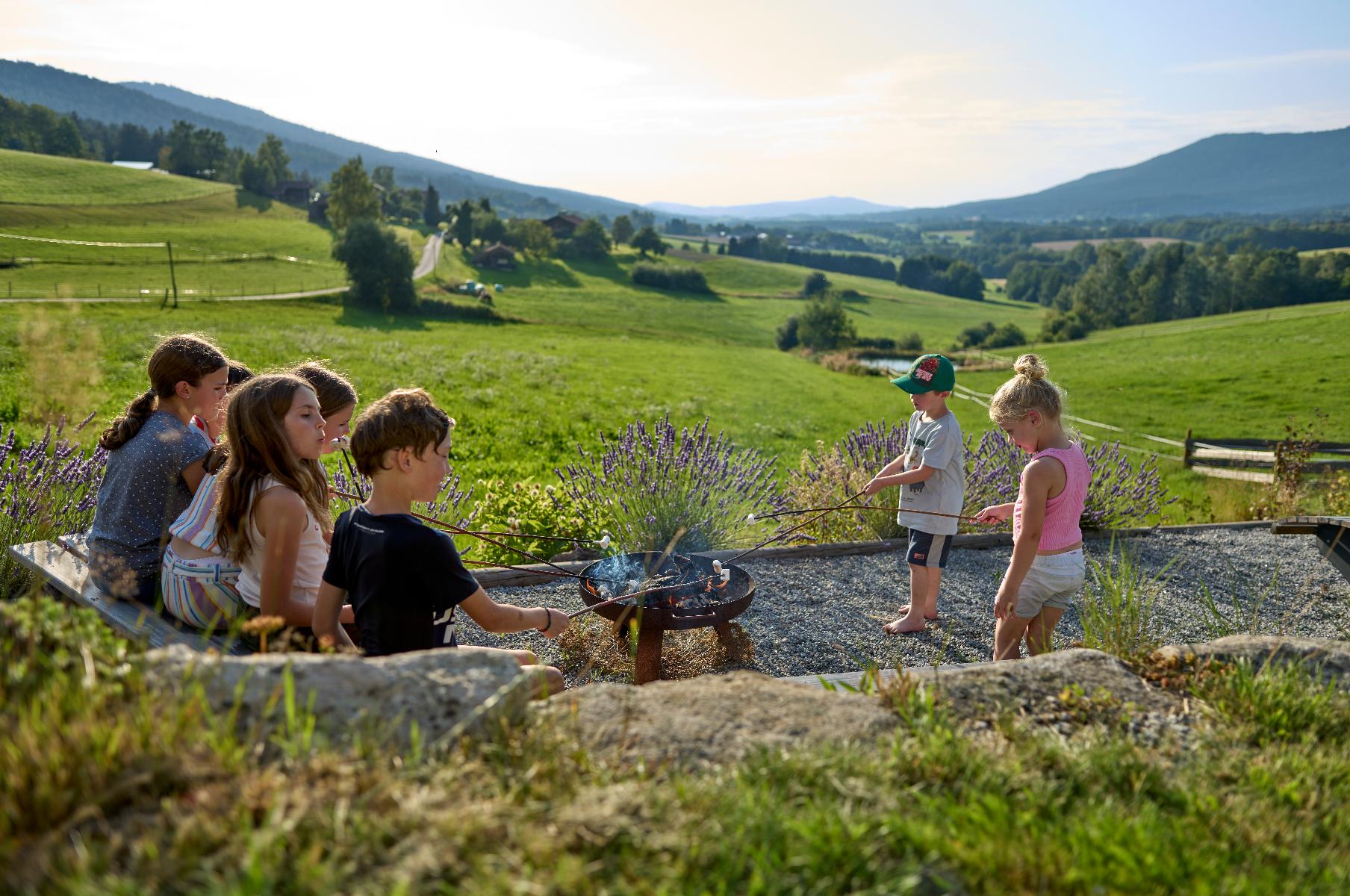Schoffahanslhof in Arnbruck