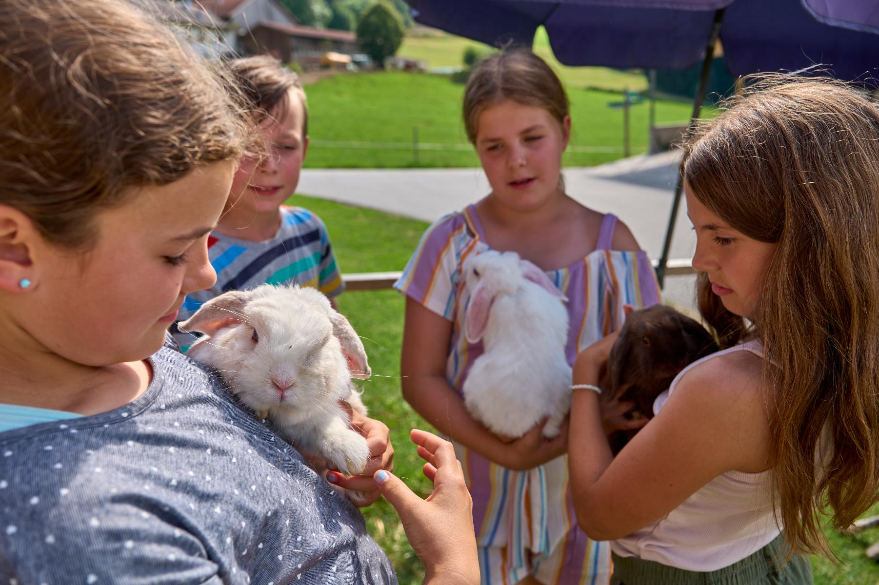 Schoffahanslhof in Arnbruck