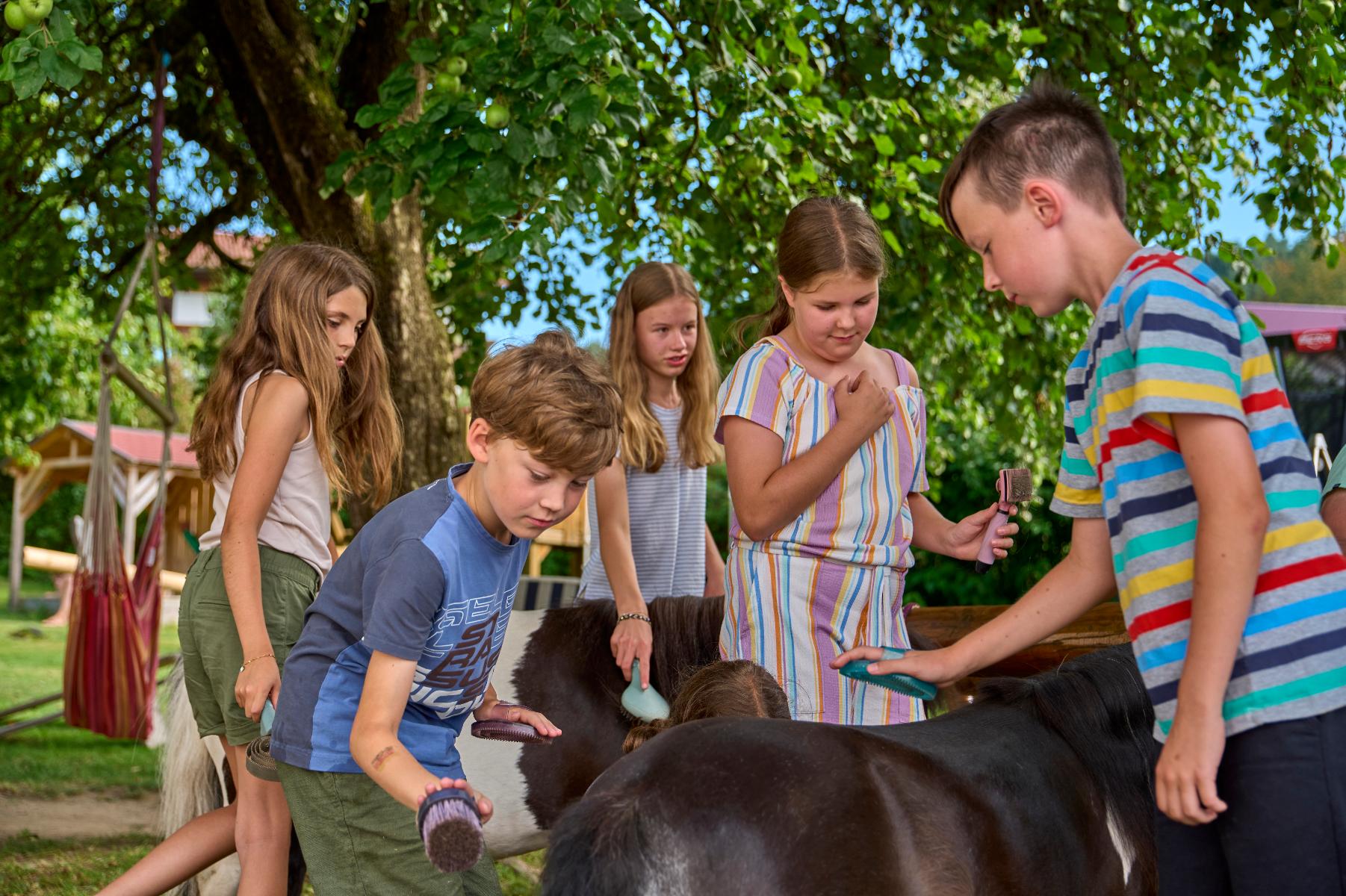 Schoffahanslhof in Arnbruck