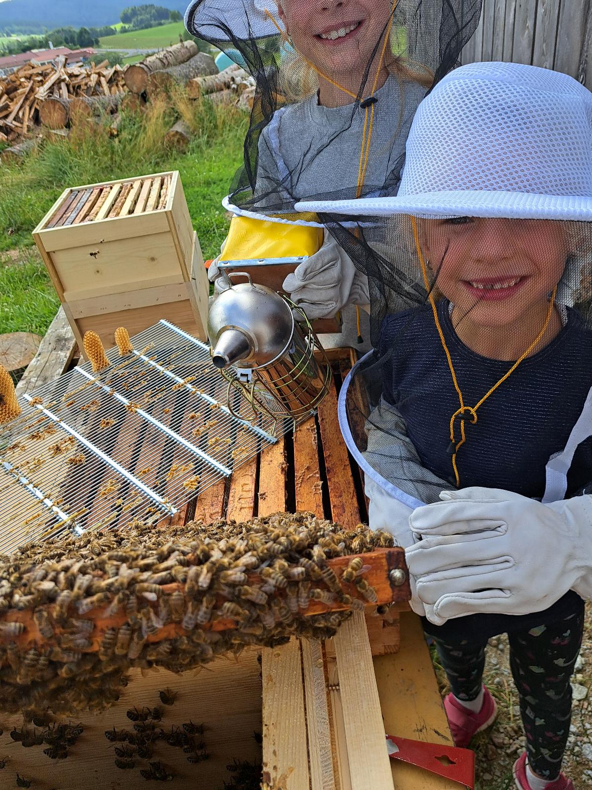 Schedlbauernhof in Arnbruck