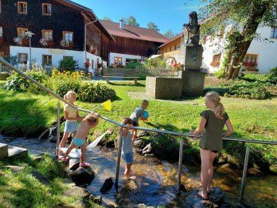Schedlbauernhof in Arnbruck