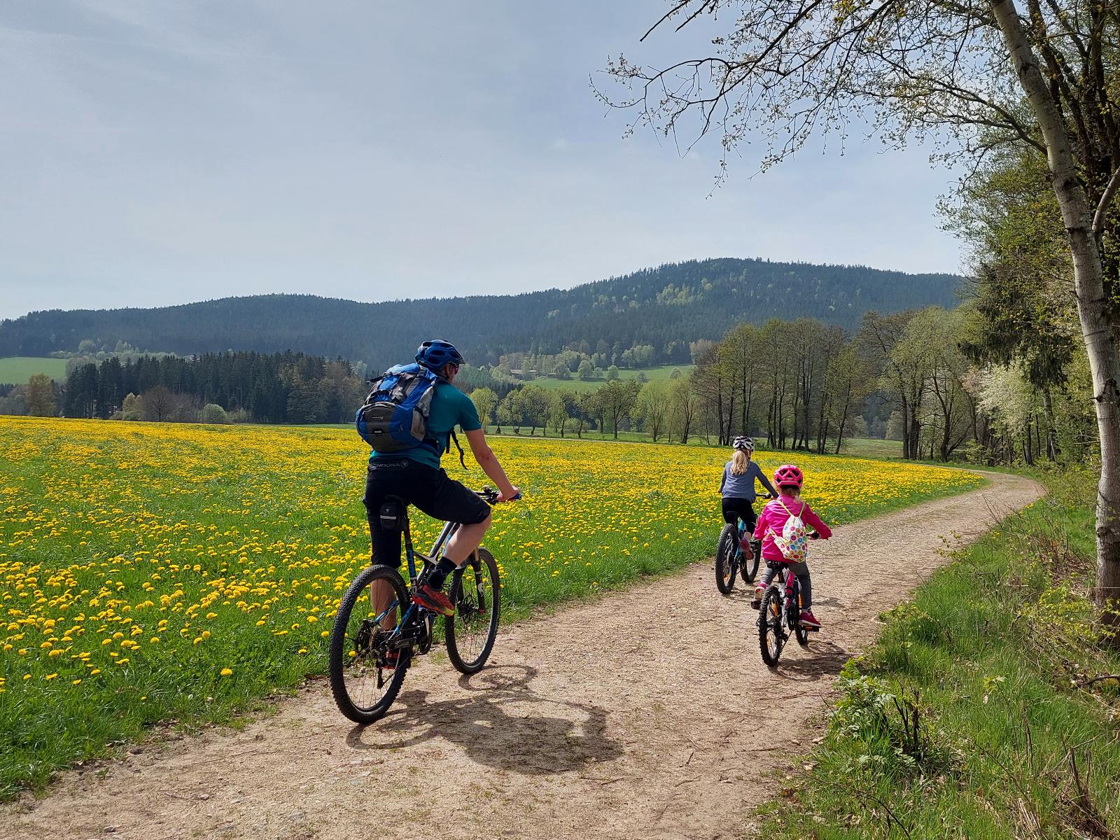 Schedlbauernhof in Arnbruck