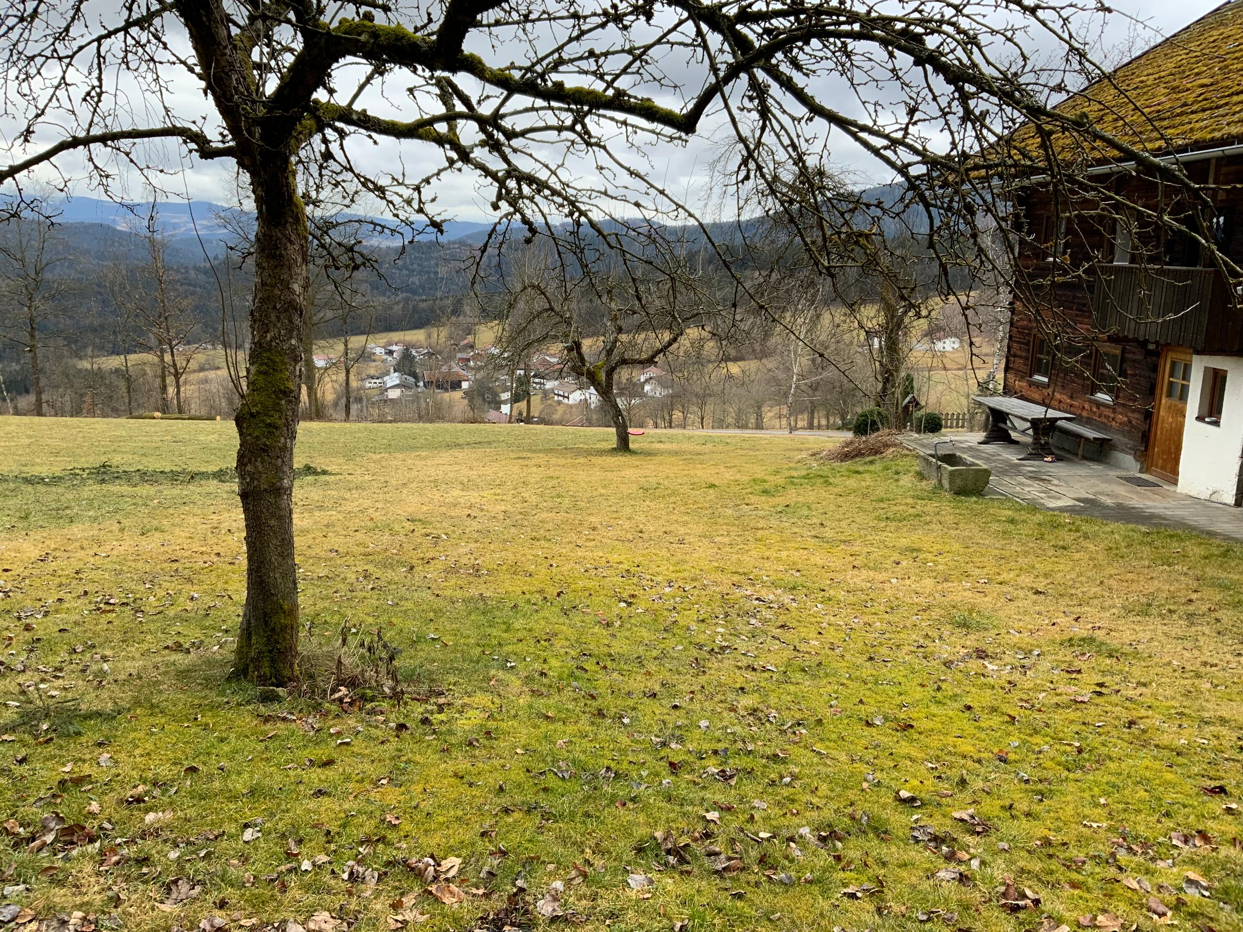 Ferienhof Schauer in Drachselsried