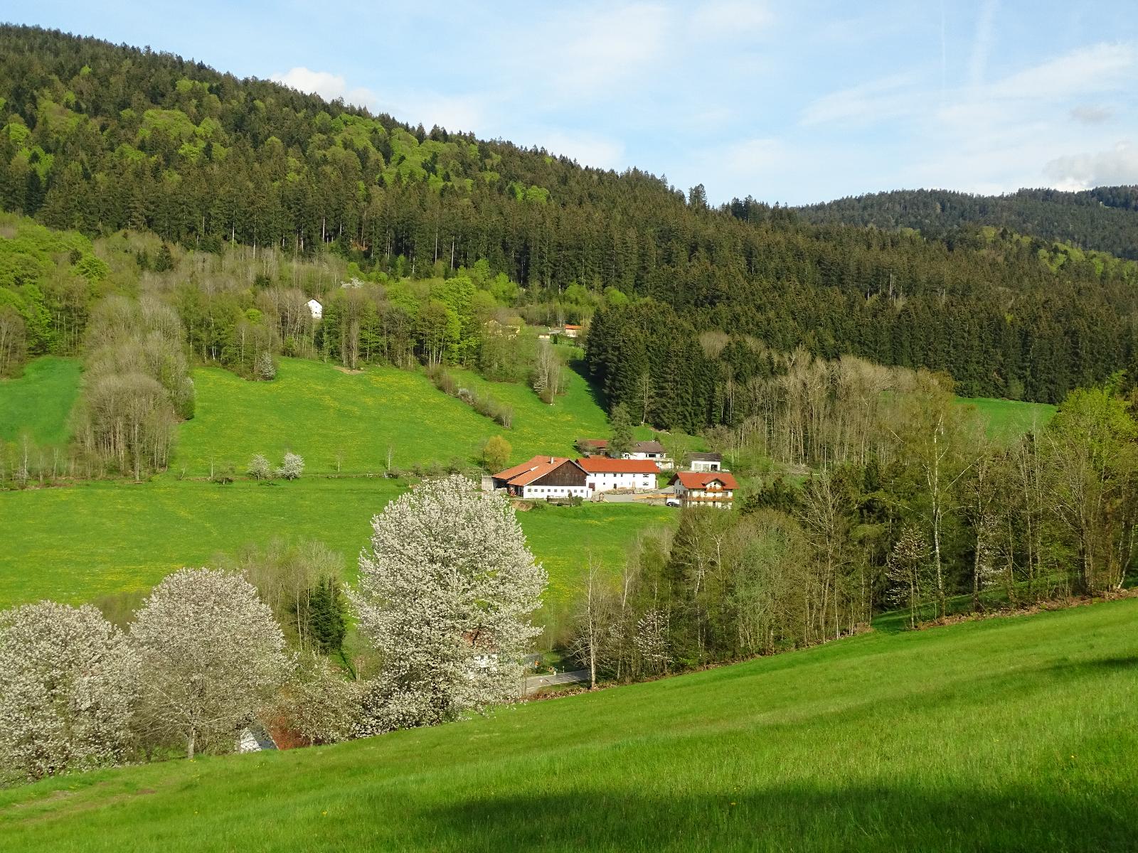 Ferienwohnung Lindenhof in Sankt Englmar