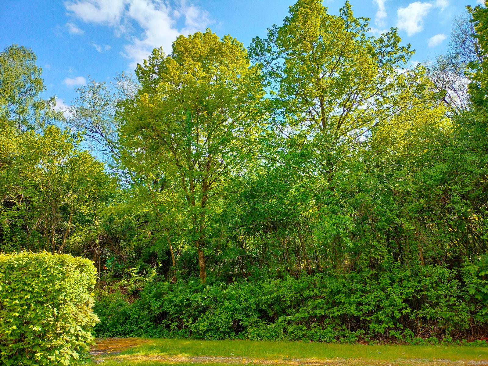 Apartment Rehblick in Hohenwarth