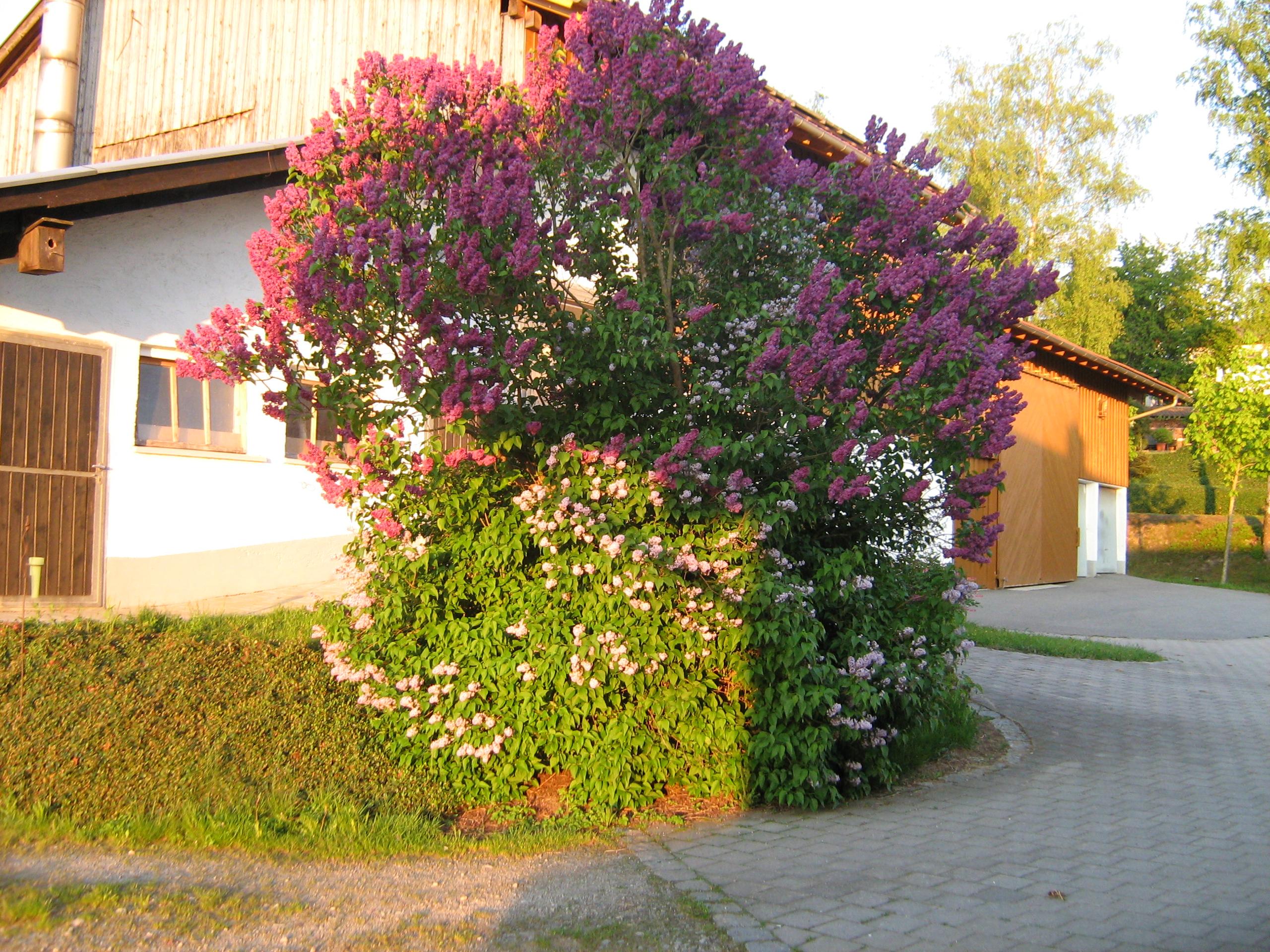 Kagerbauernhof in Arnbruck