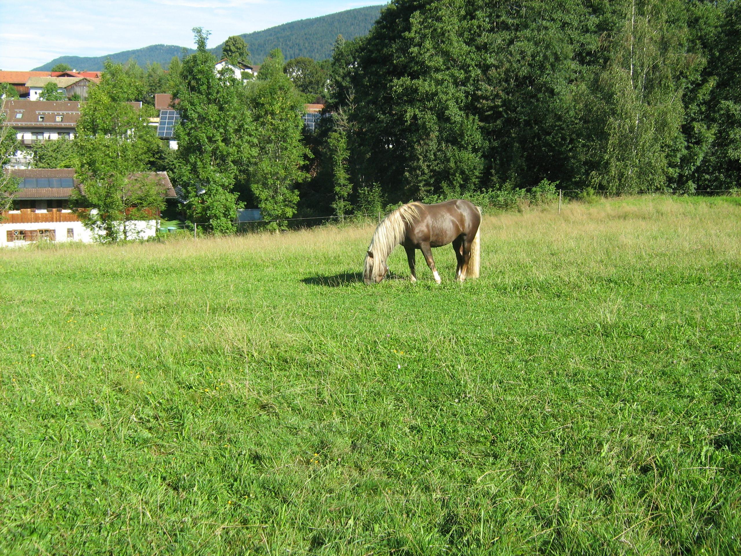 Kagerbauernhof in Arnbruck