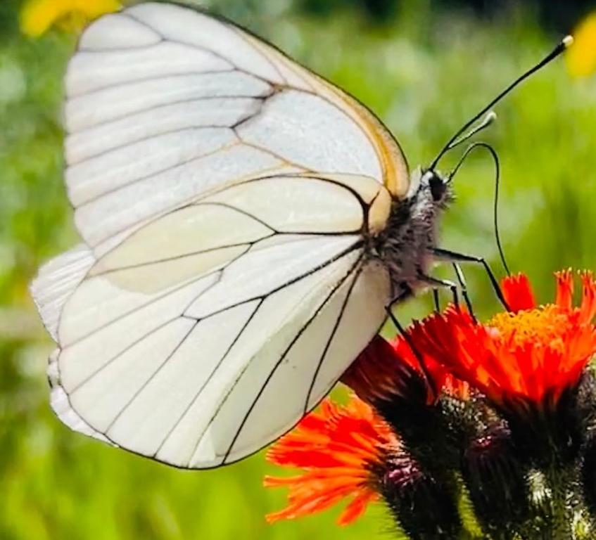  Landurlaub bei Familie Haug in Freyung