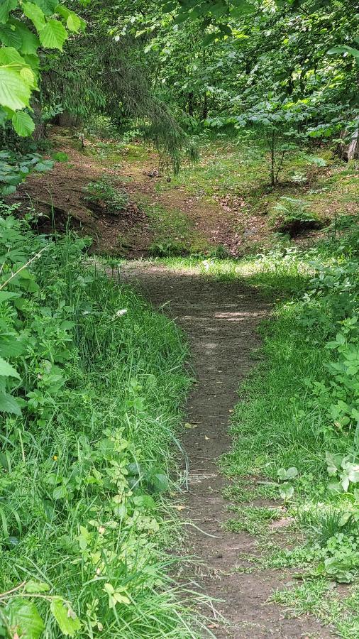 Ferienwohnungen Rihm in Arrach
