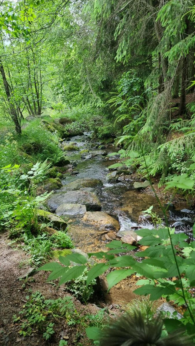 Ferienwohnungen Rihm in Arrach
