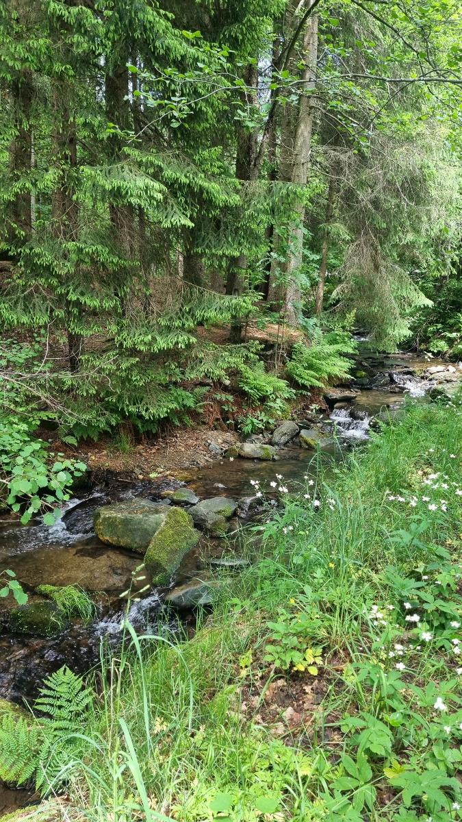 Ferienwohnungen Rihm in Arrach
