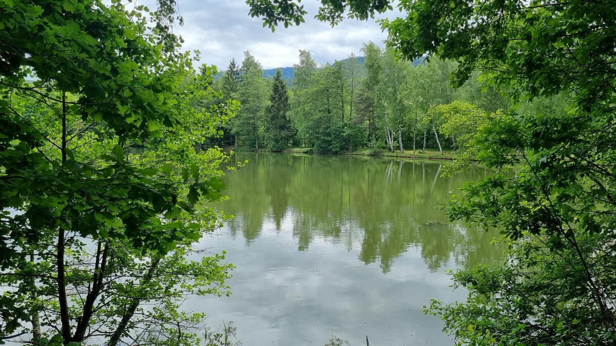Ferienwohnungen Rihm in Arrach