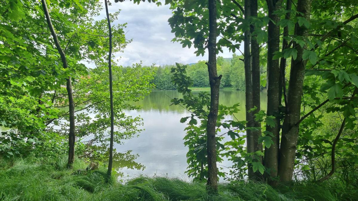 Ferienwohnungen Rihm in Arrach