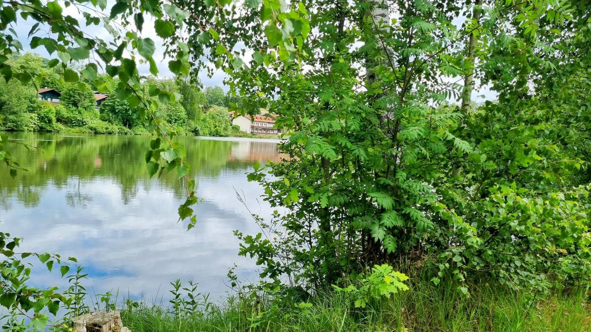 Ferienwohnungen Rihm in Arrach