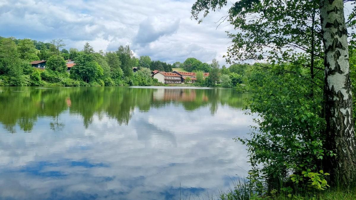 Ferienwohnungen Rihm in Arrach