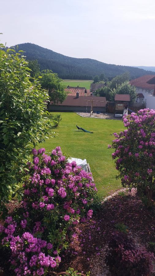 Ferienhaus Fidelis in Bodenmais