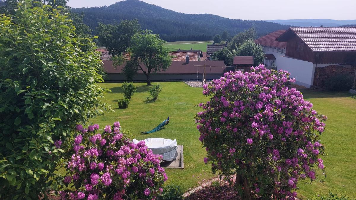 Ferienhaus Fidelis in Bodenmais