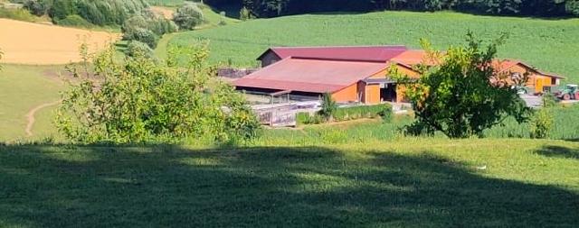 Mattheishof in Grafenau
