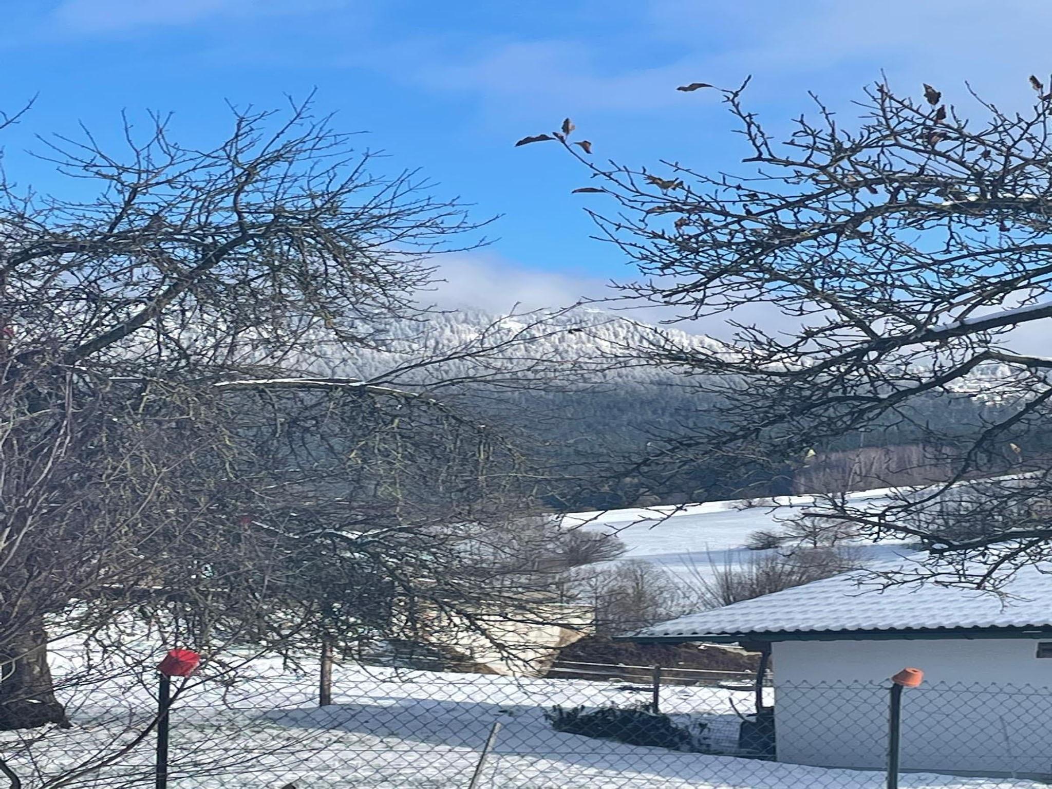 Ferienwohnung Eifler in Lam