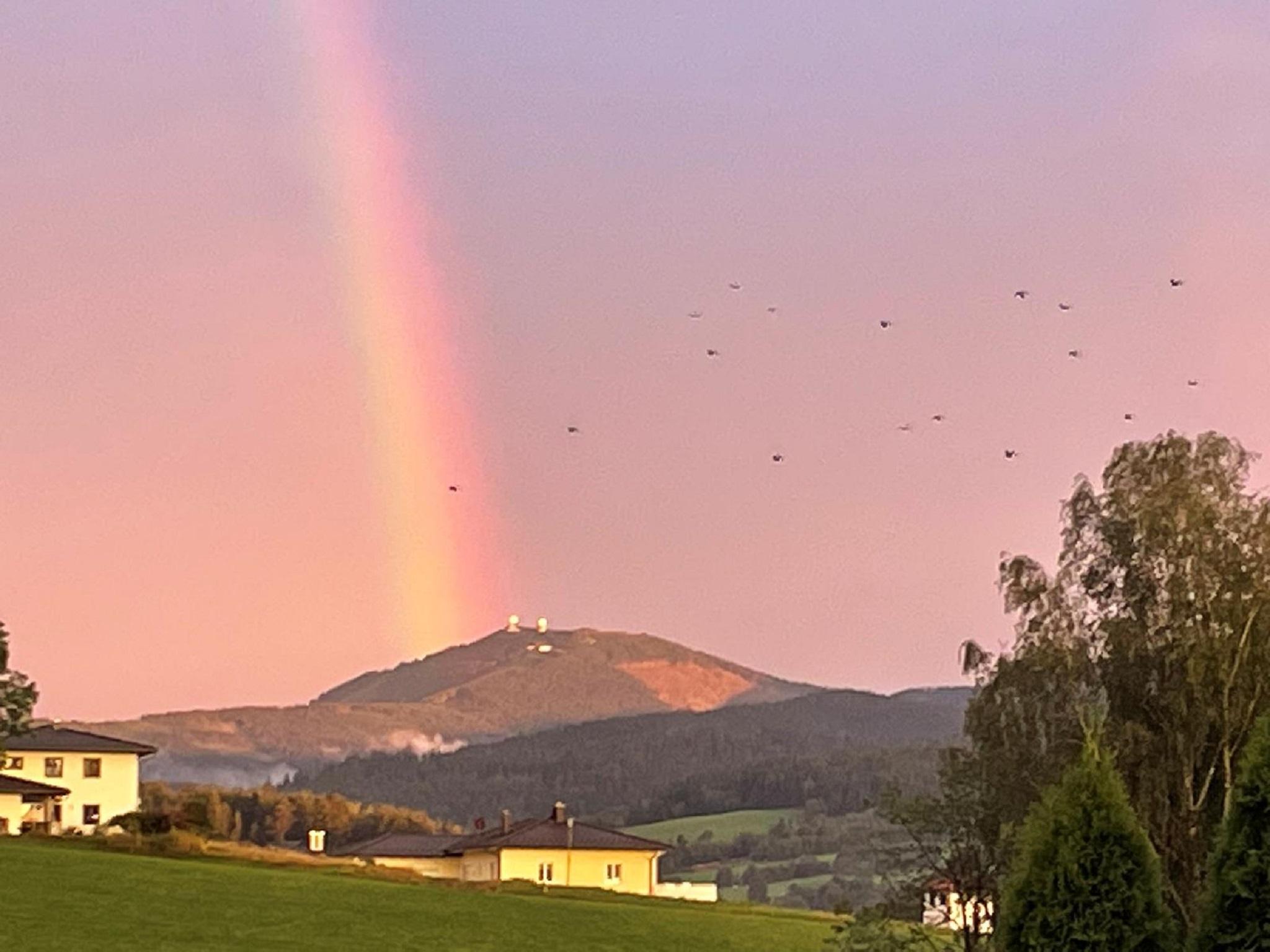 Ferienwohnung Eifler in Lam