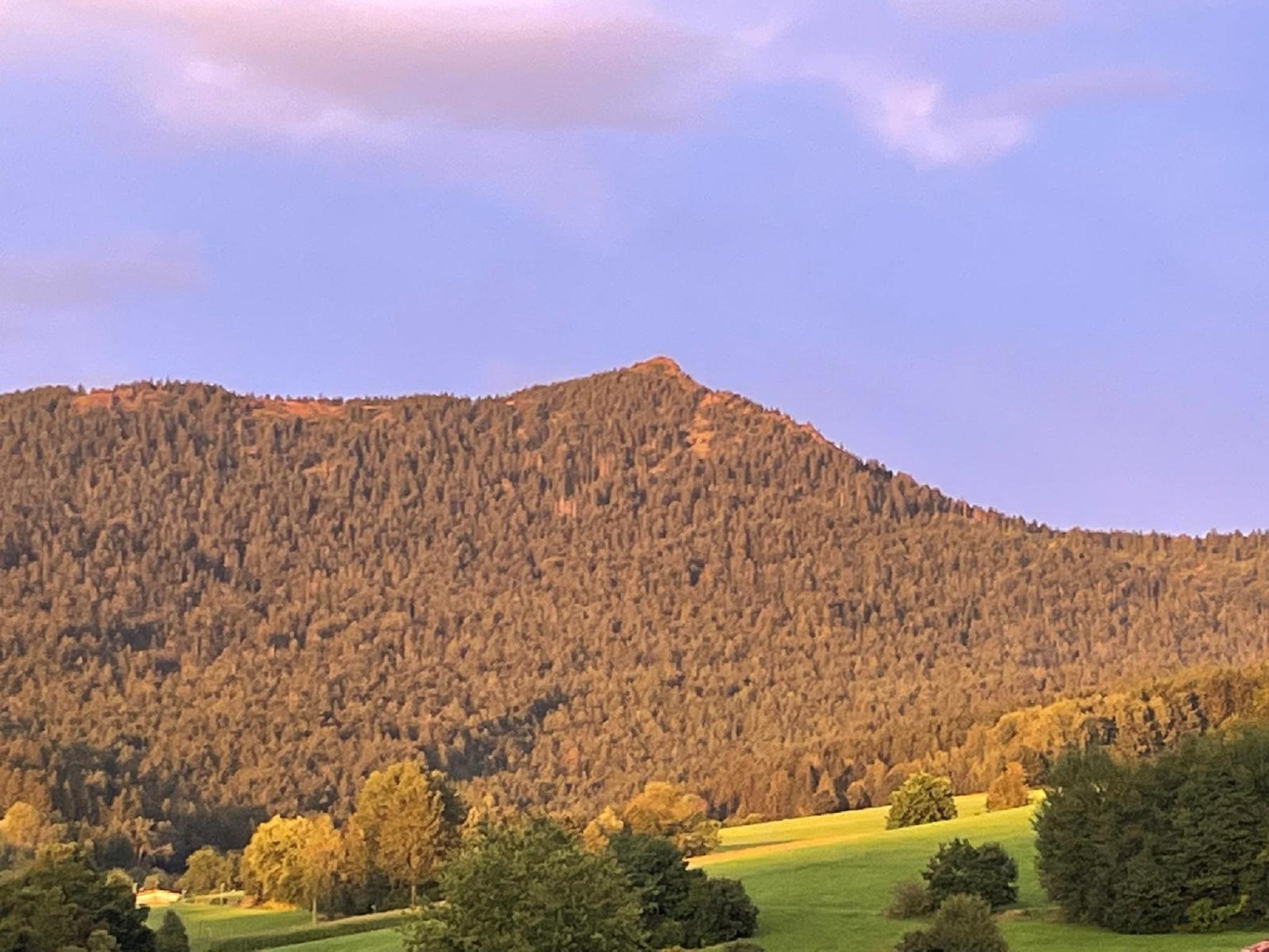 Ferienwohnung Eifler in Lam
