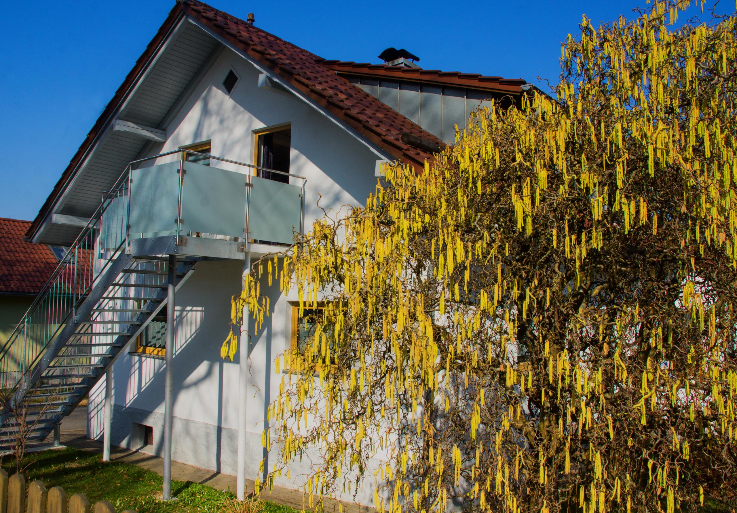 Fewo Karoli in Waldkirchen