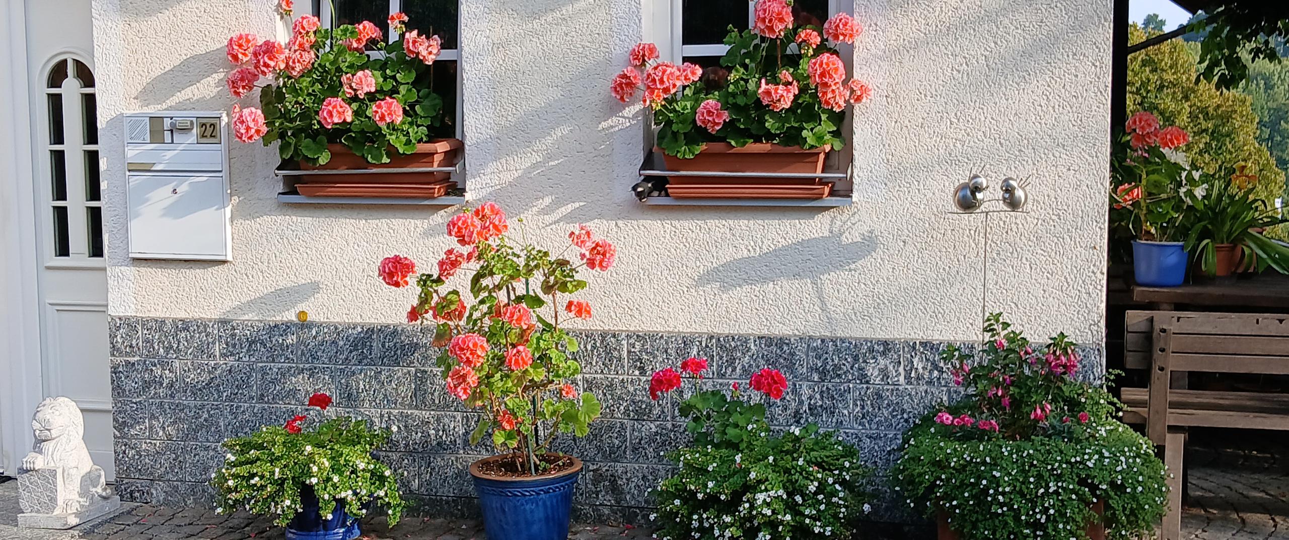 Pension Tauscher in Grafenau