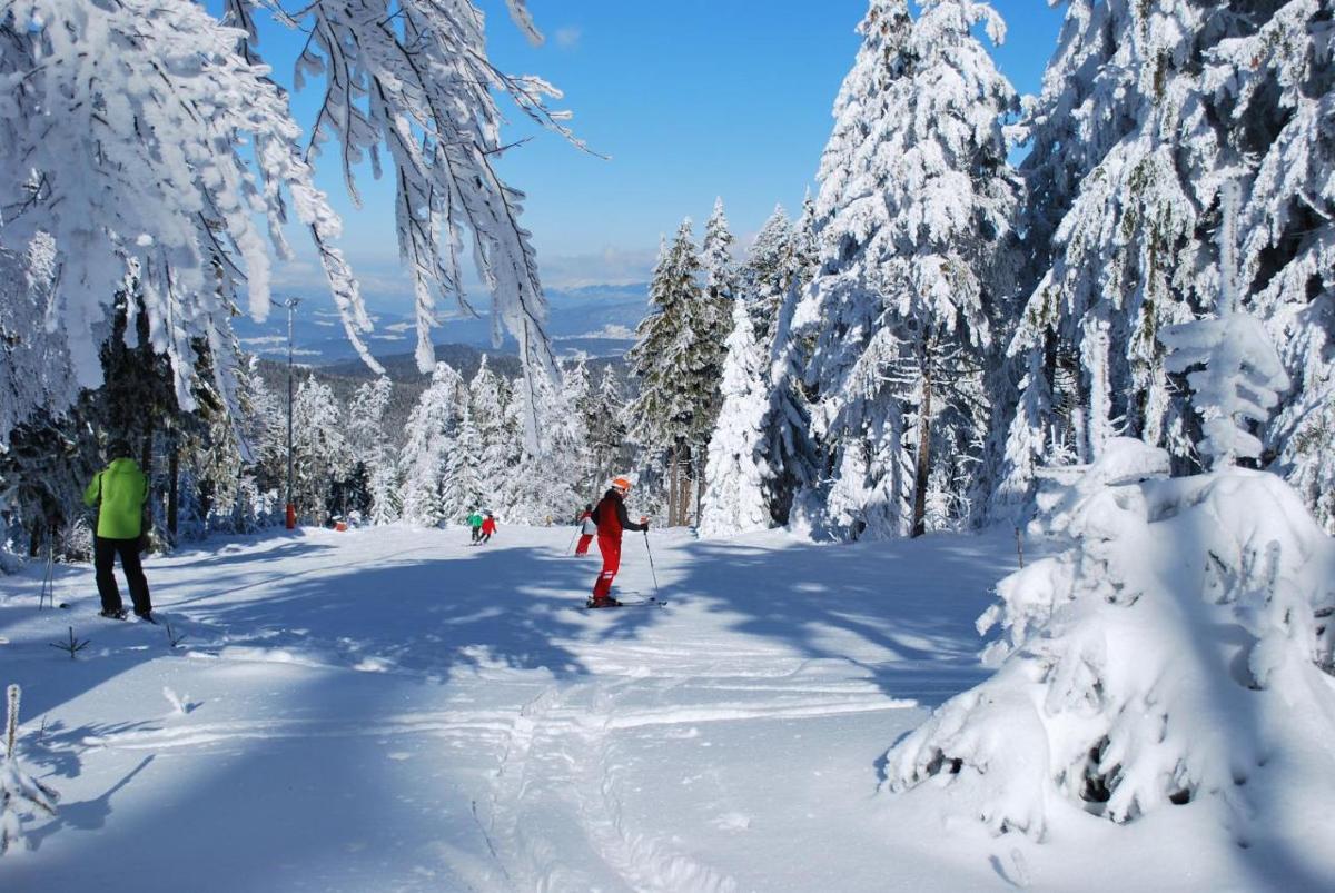 Luxalps Resort St. Englmar in Sankt Englmar